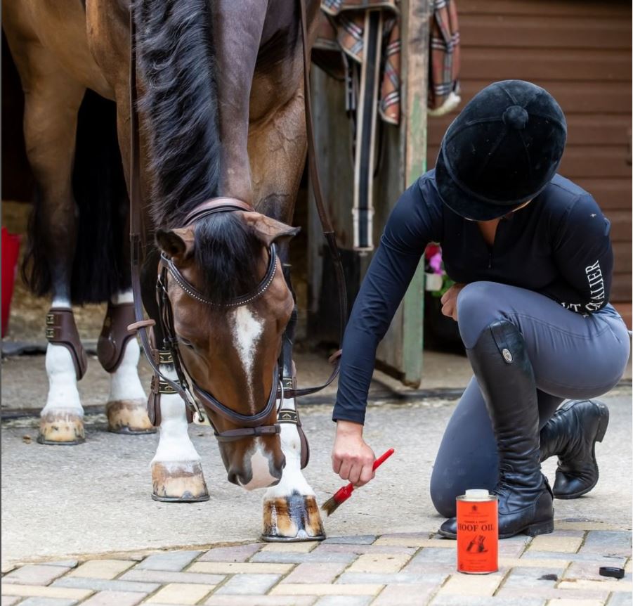 Bex-Hoof-Oil-Application.jpg