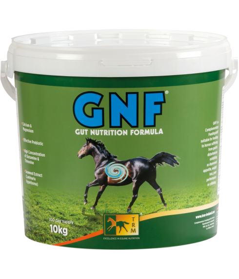 GNF-490x572