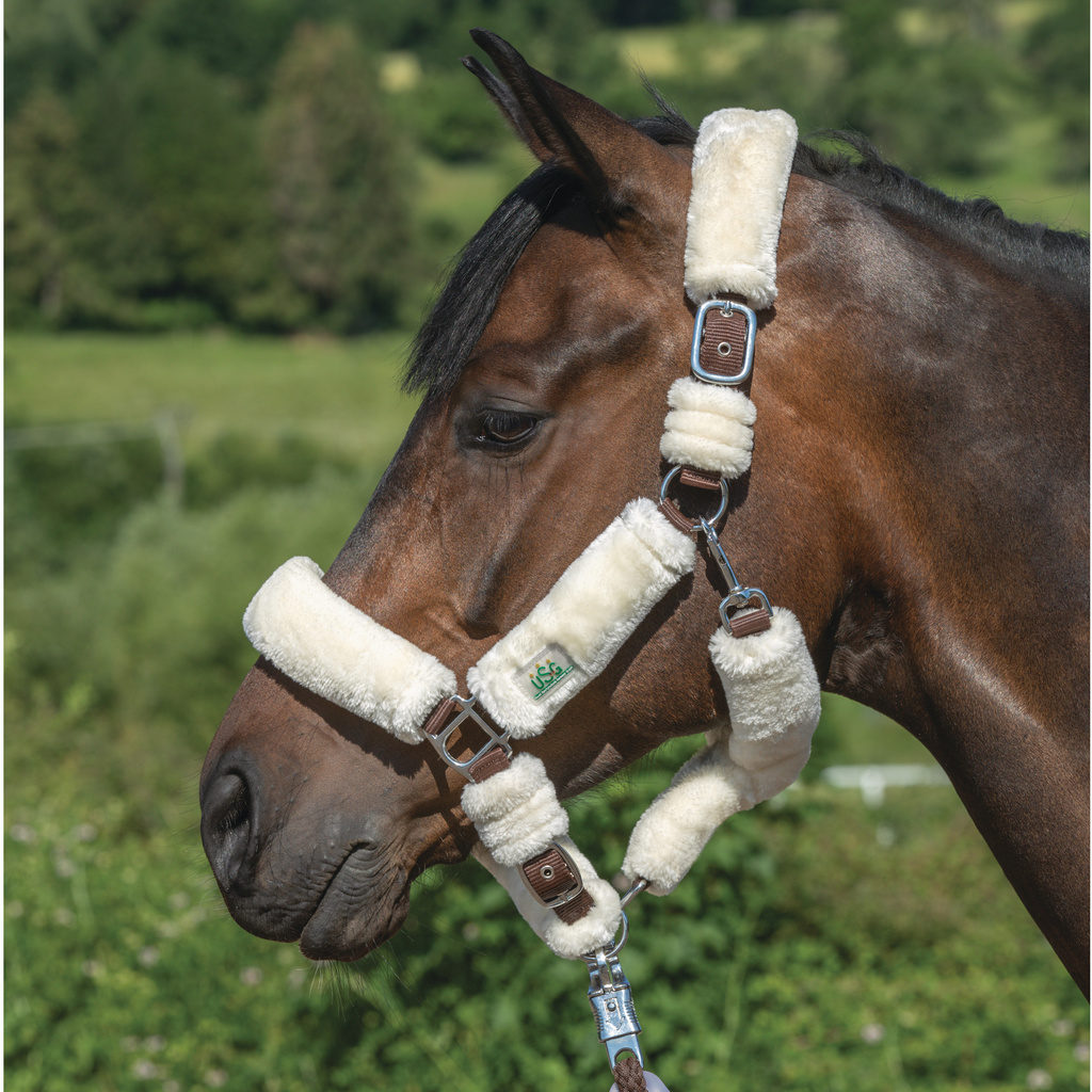 15050026 Fluffy Headcollar (3)