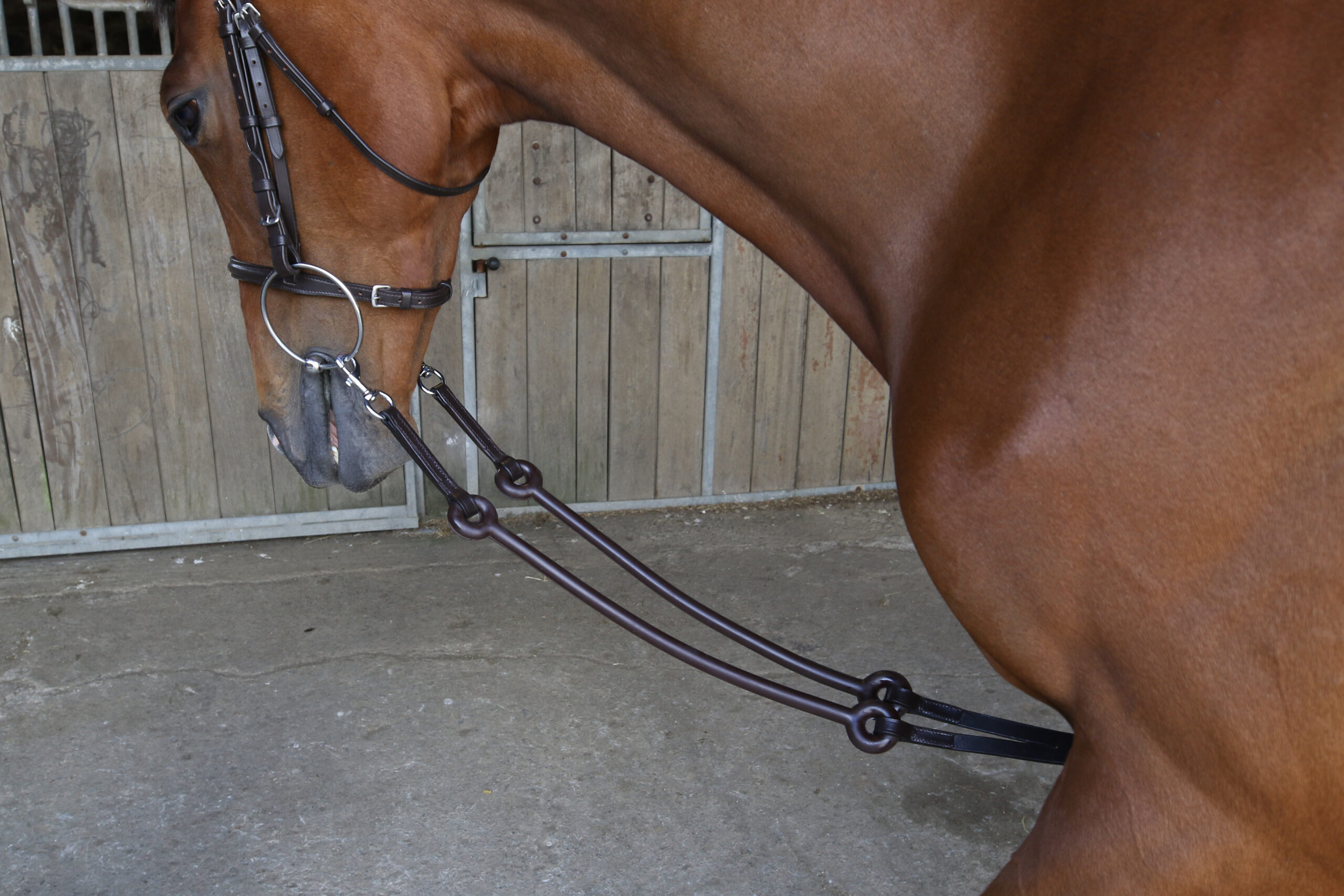 Bungee Martingale M7-FG-BR-F (2)