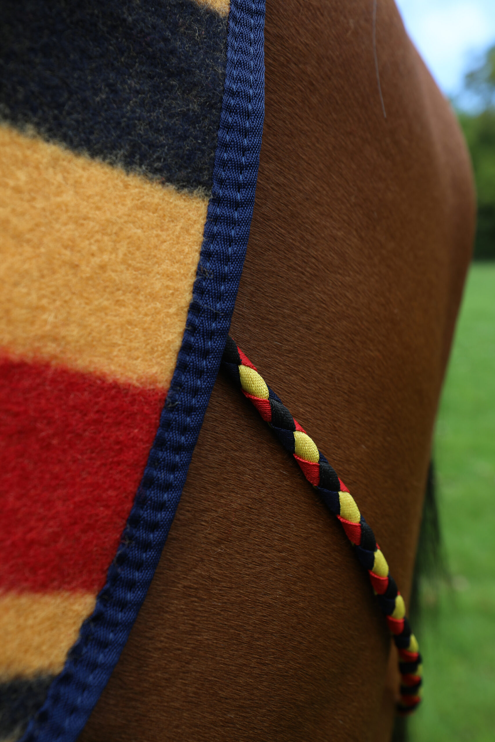 RG-WOOL-1 (1)