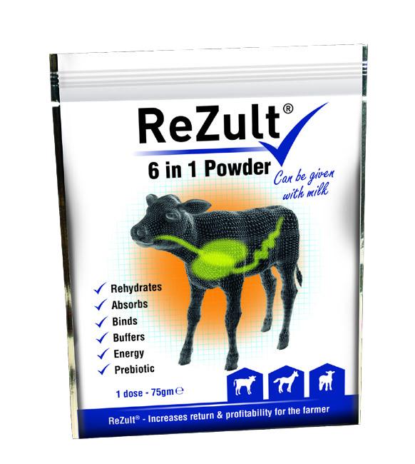 Rezult REZULT1