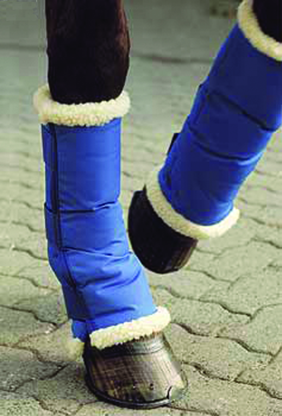 Warming & Travelling Boots 14560005